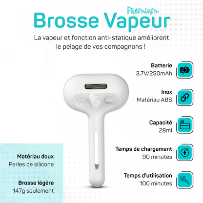 Brosse Vapeur Animaux