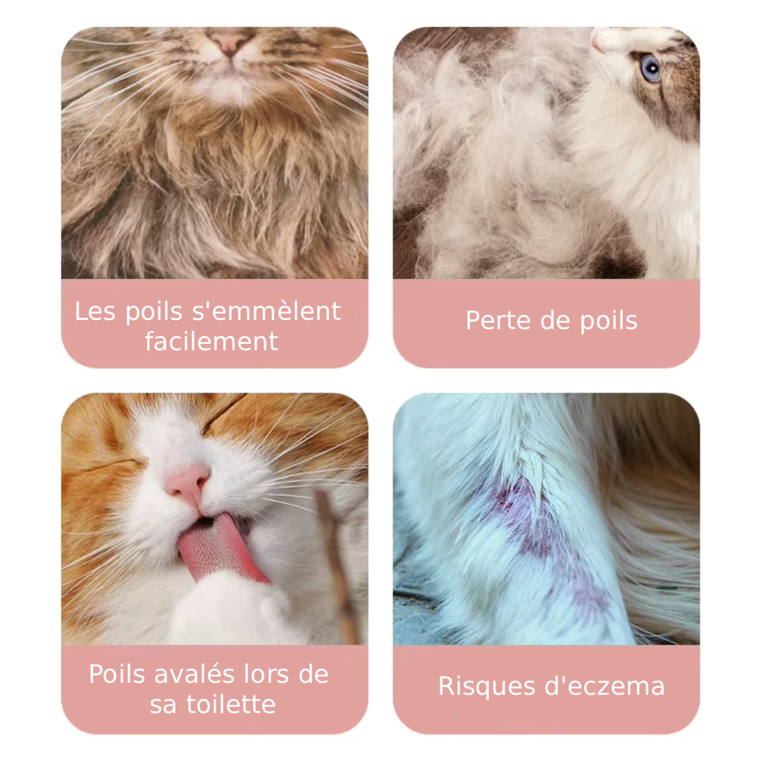 Brosse Vapeur Animaux