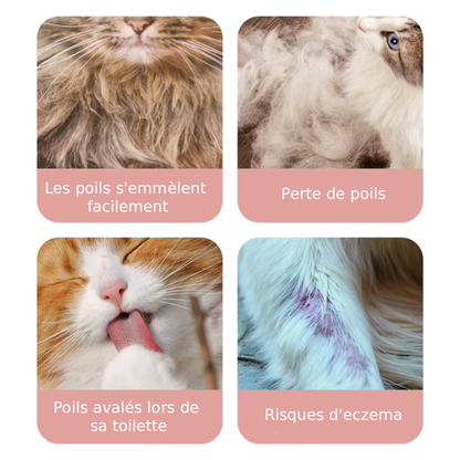 Brosse Vapeur Animaux