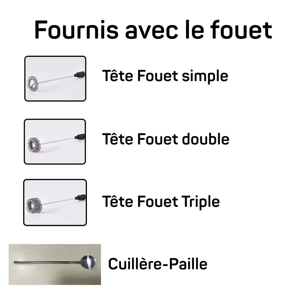 Fouet Electrique Rechargeable
