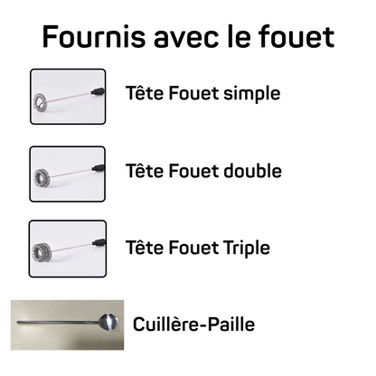 Fouet Electrique Rechargeable
