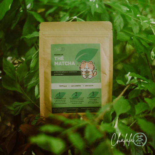 Poudre de Thé Matcha