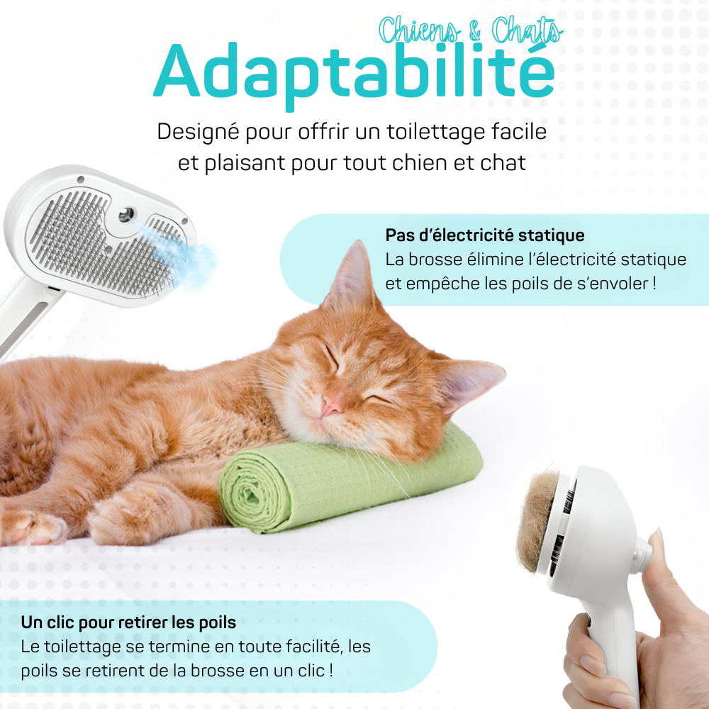 Brosse Vapeur Animaux