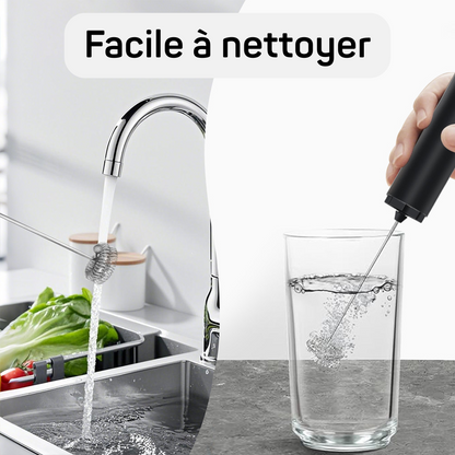 Fouet Electrique Rechargeable