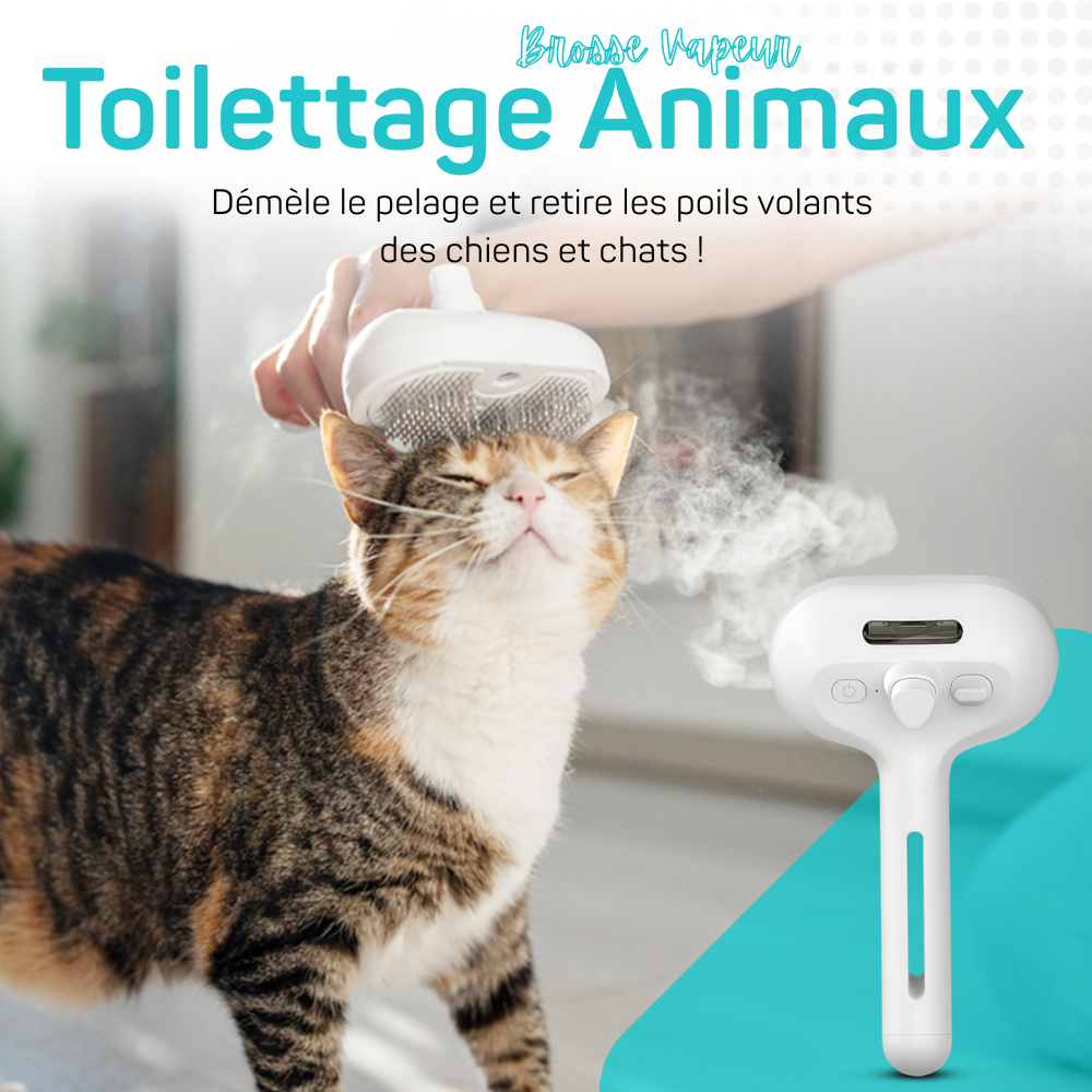 Brosse Vapeur Animaux
