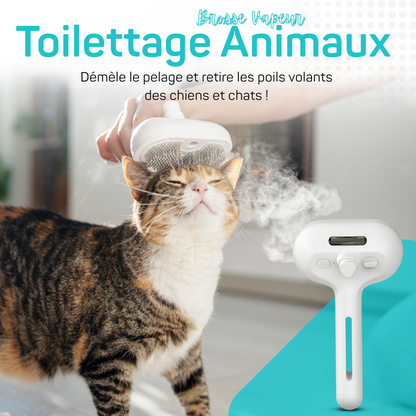 Brosse Vapeur Animaux