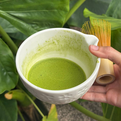 Thé Matcha Prémium