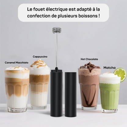 Fouet Electrique Rechargeable