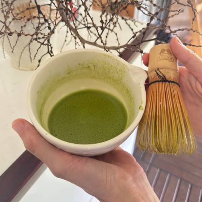 Thé Matcha Prémium