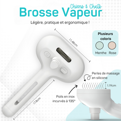 Brosse Vapeur Animaux