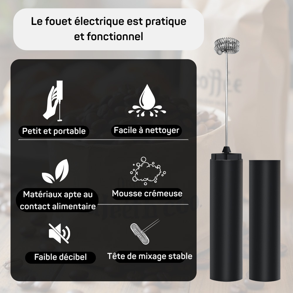 Fouet Electrique Rechargeable