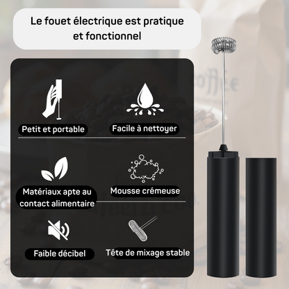Fouet Electrique Rechargeable
