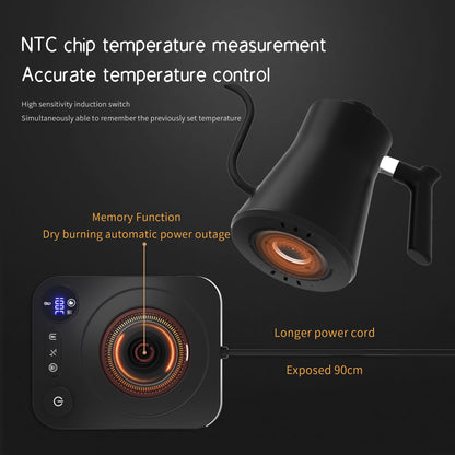 Bouilloire à Thermostat Réglable