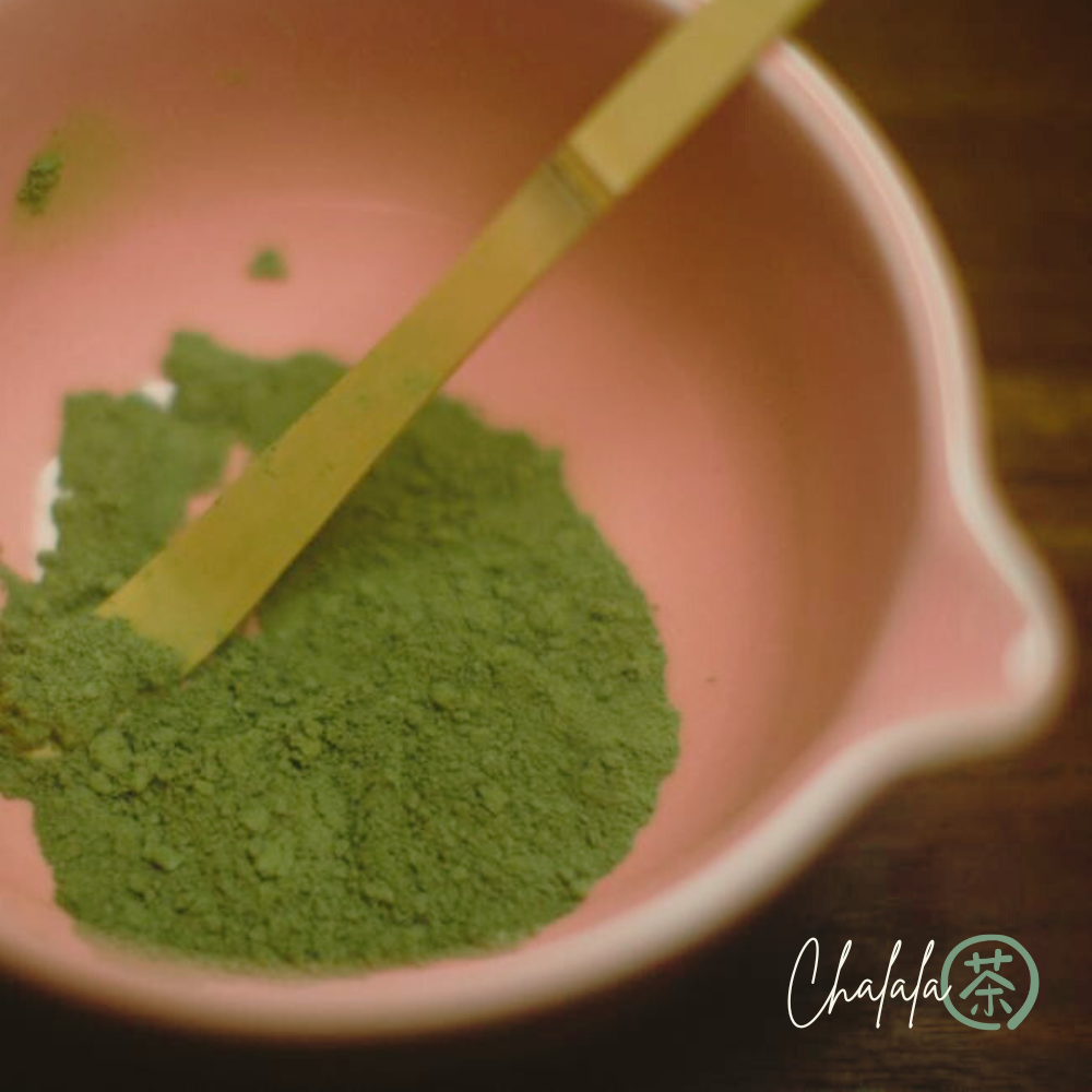 Poudre de Thé Matcha